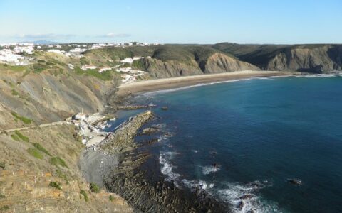 2019年美国税务局公布最新所得税规定