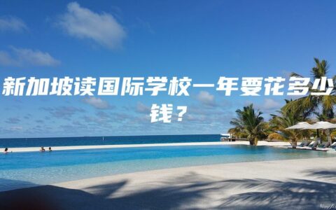 新加坡读国际学校一年要花多少钱？