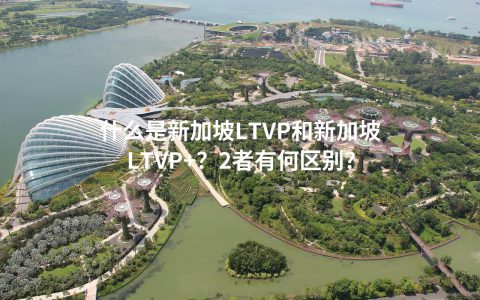 什么是新加坡LTVP和新加坡LTVP+？2者有何区别？