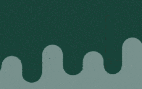 孙玉菡局长：加强高才通学历验证，将向内地确认