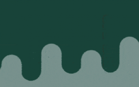 国人直接把新加坡华侨银行给干废了~