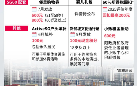 2025新加坡财政预算案发布