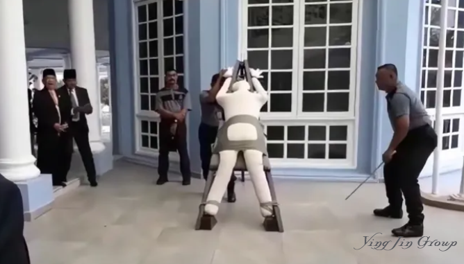 新加坡最牛黑工，非法打工12年才被发现！