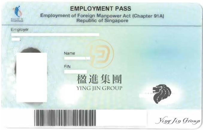 新加坡最牛黑工，非法打工12年才被发现！