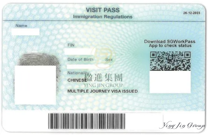 新加坡最牛黑工，非法打工12年才被发现！