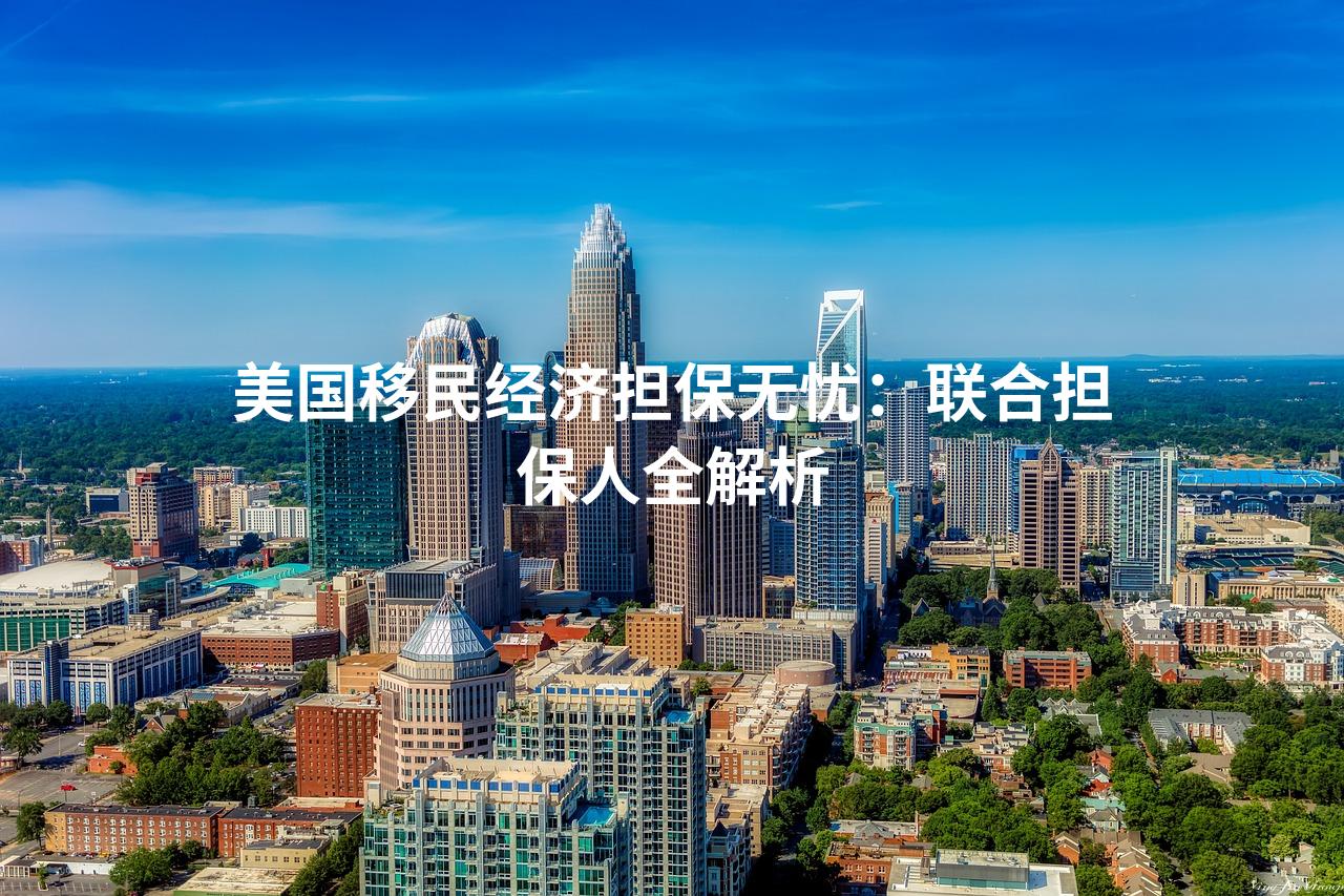 美国移民经济担保无忧：联合担保人全解析