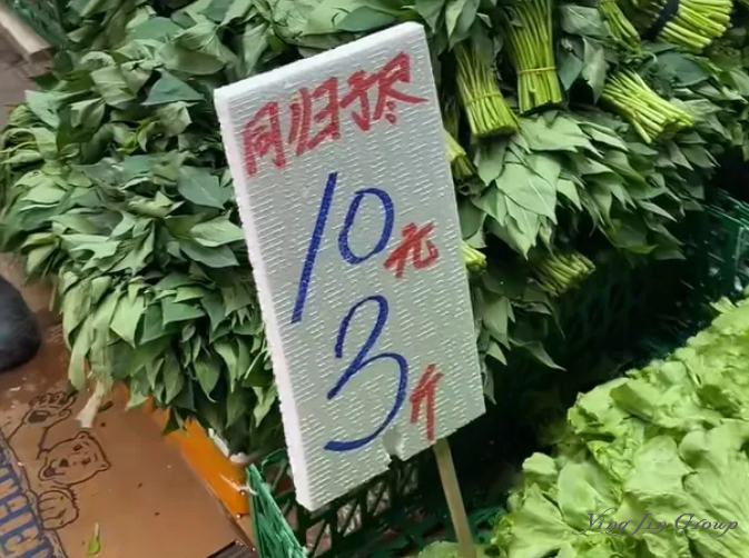 你敢信？香港有“种”蔬菜叫"同归于尽"！