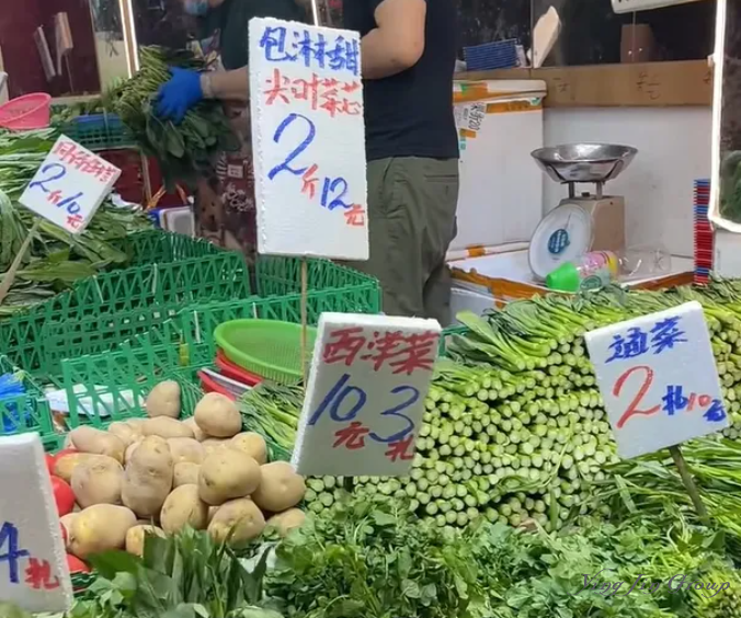 你敢信？香港有“种”蔬菜叫"同归于尽"！