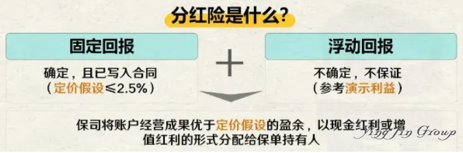 如今的港险，是蜜糖还是砒霜？
