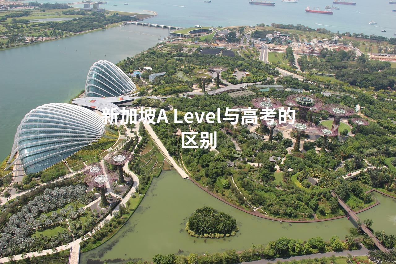 新加坡A Level与高考的区别