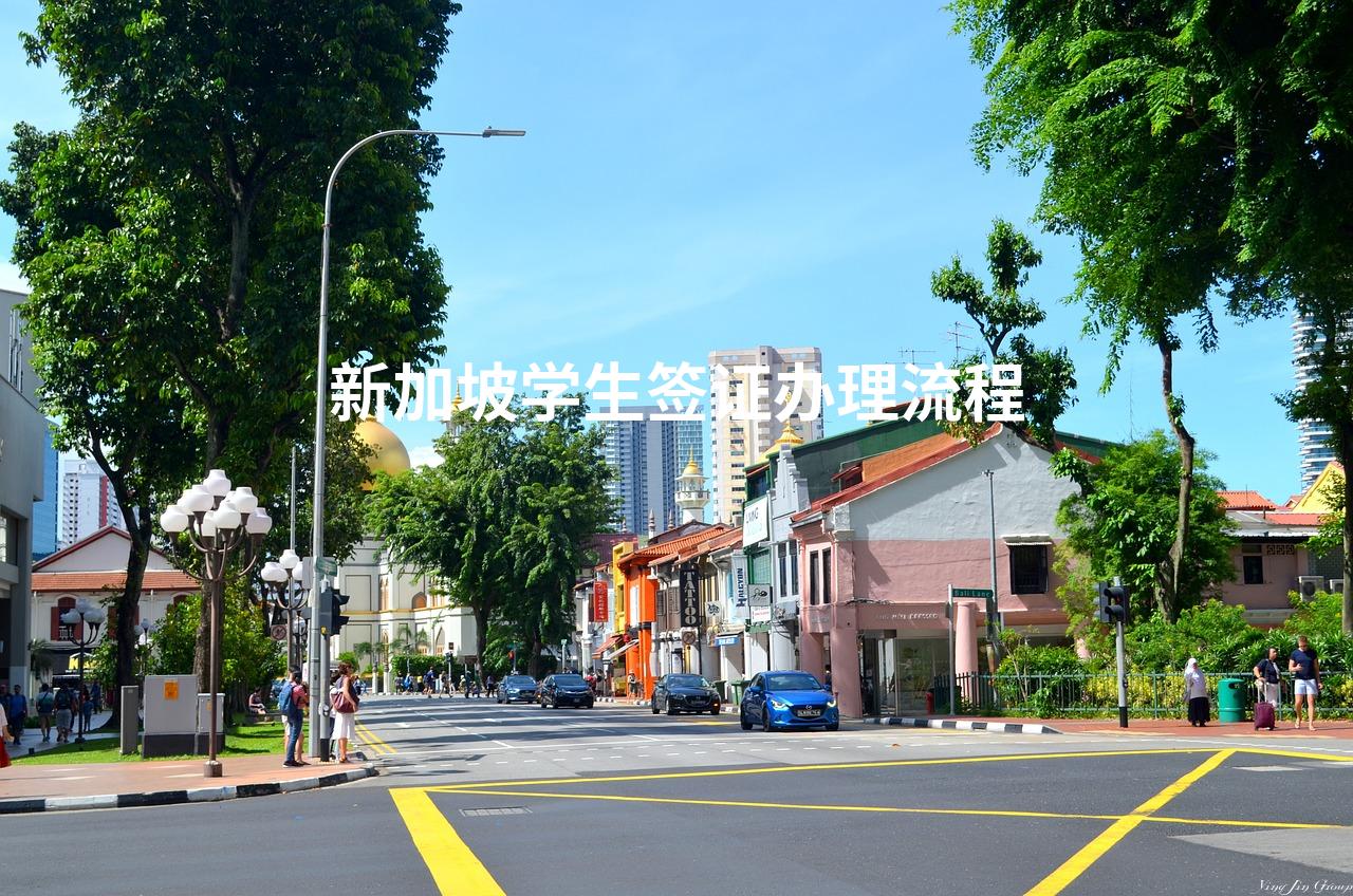 新加坡学生签证办理流程