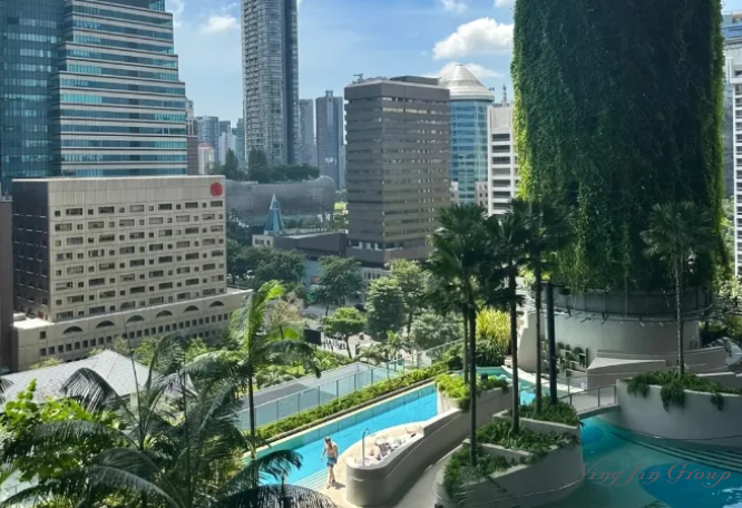 中产正在疯狂逃离新加坡