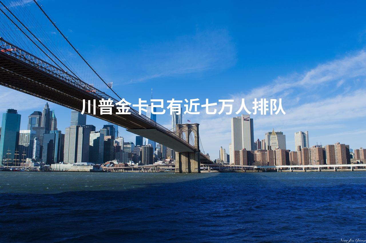 川普金卡已有近七万人排队