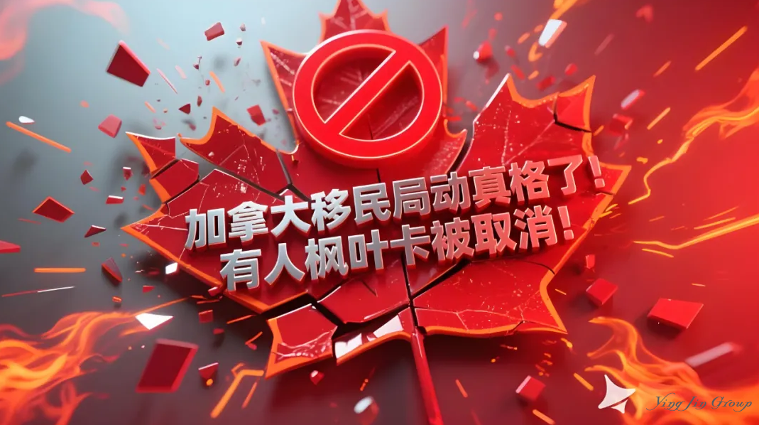 加拿大移民局动真格了！有人枫叶卡被当场取消！