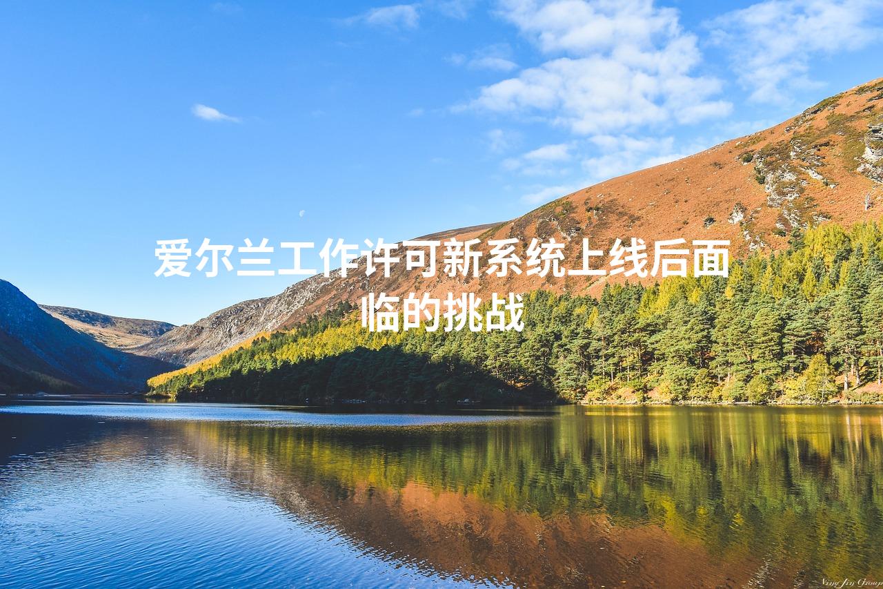 爱尔兰工作许可新系统上线后面临的挑战