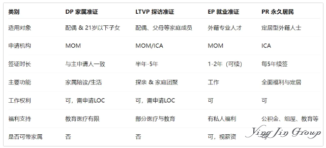 新加坡四大准证类型对比
