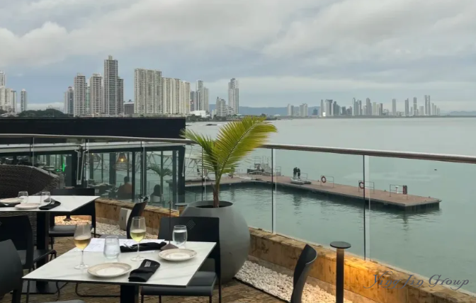 目前移民最快的国家