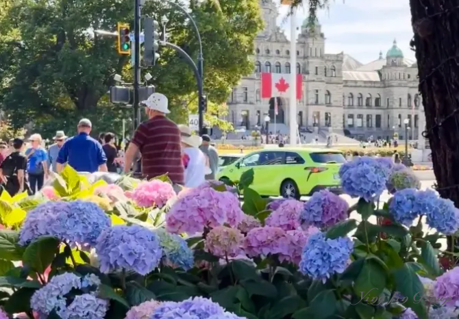 全球移民难度排名，第一名地狱级难度！