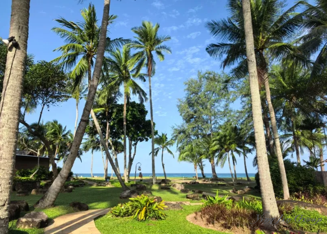 海外最适合华人养老的国家，中国老人正在疯狂涌入！