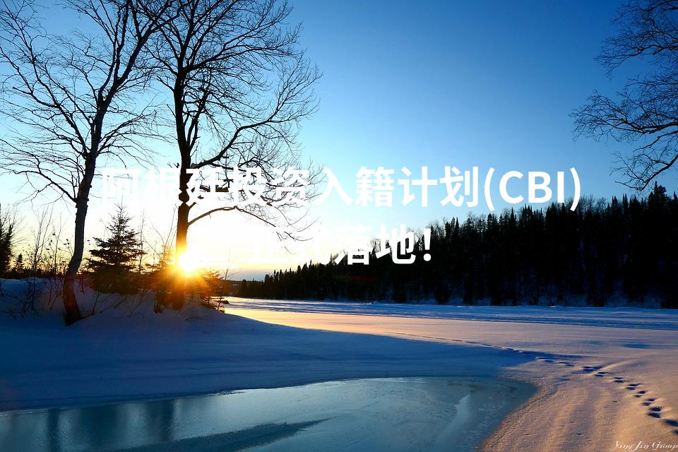阿根廷投资入籍计划(CBI)正式落地！