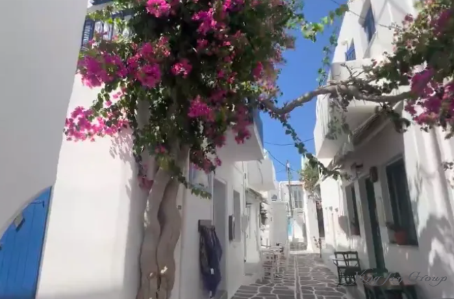 2025全球移民新趋势：这些国家成为海外移民新宠？