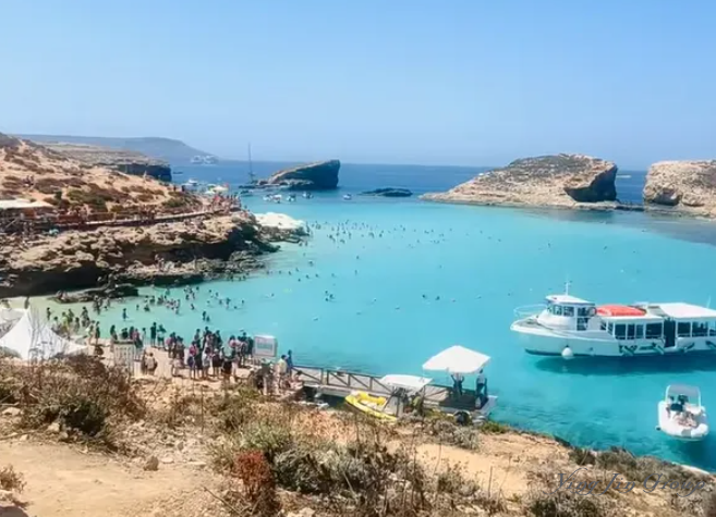 2025全球移民新趋势：这些国家成为海外移民新宠？