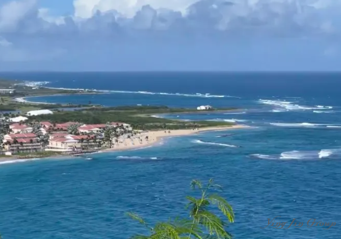 2025全球移民新趋势：这些国家成为海外移民新宠？