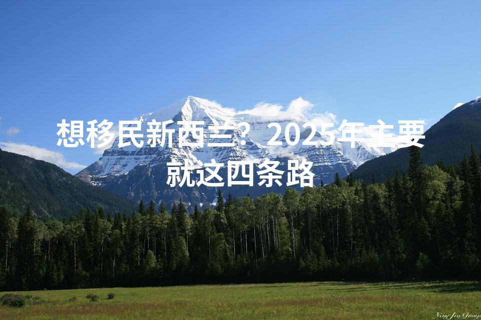 想移民新西兰？2025年主要就这四条路
