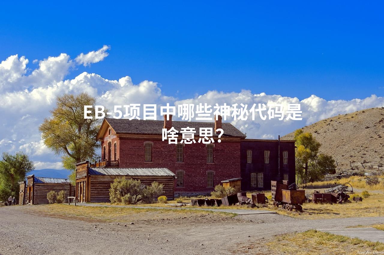EB-5项目中哪些神秘代码是啥意思？