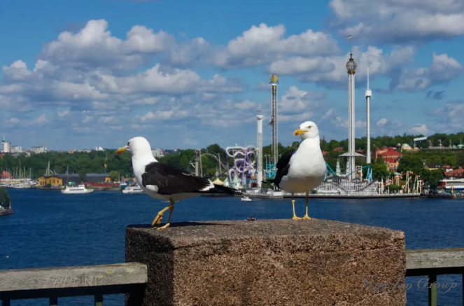 盘点欧洲最适合全家移民的6个国家
