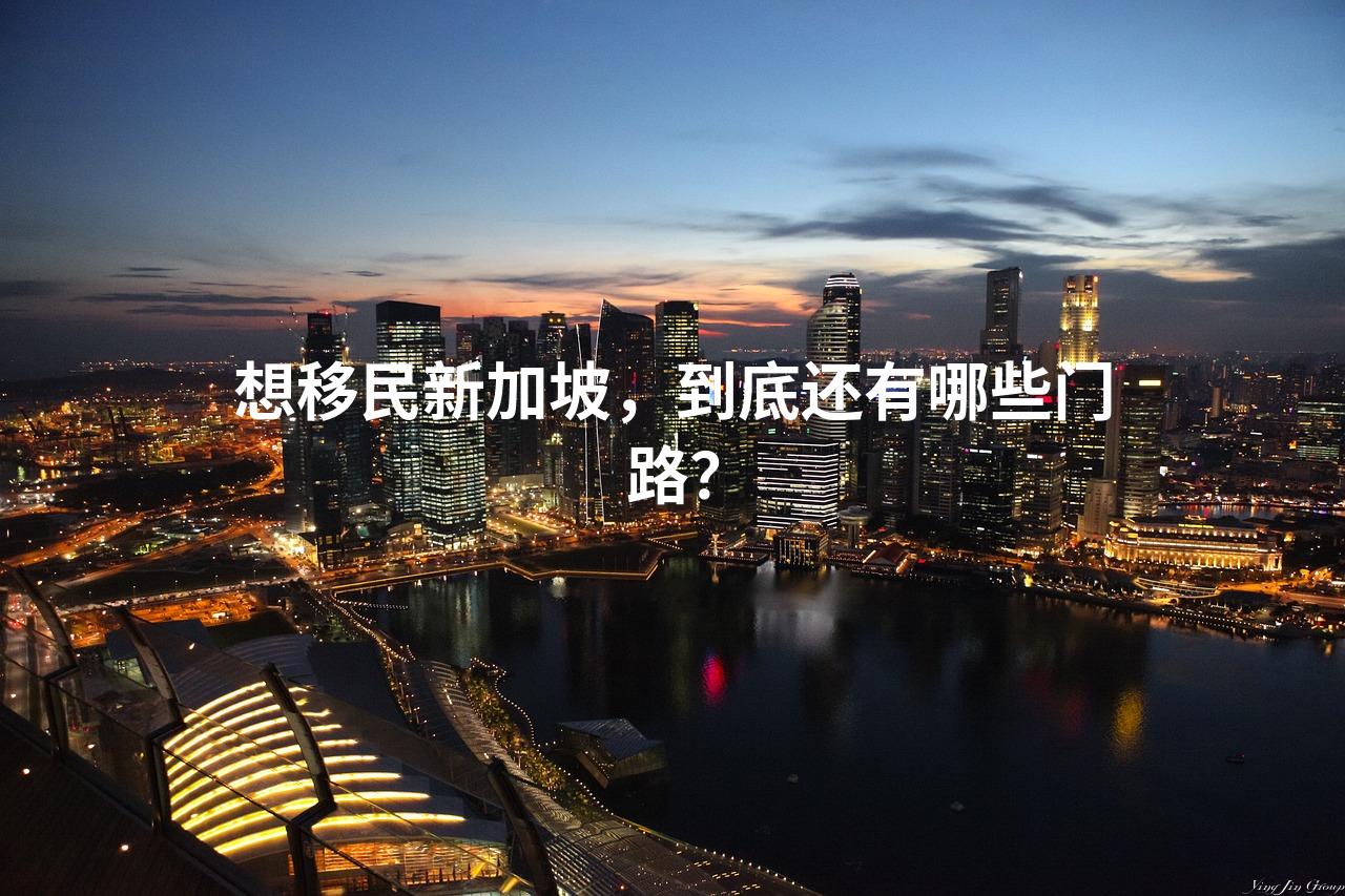想移民新加坡，到底还有哪些门路？