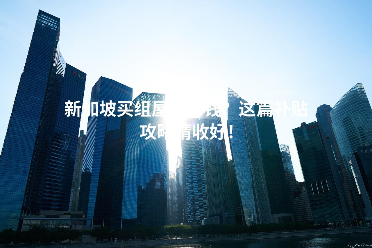 新加坡买组屋想省钱？这篇补贴攻略请收好！