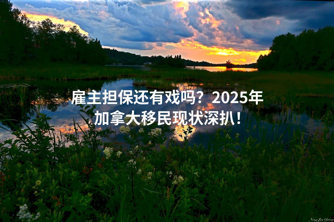 雇主担保还有戏吗？2025年加拿大移民现状深扒！
