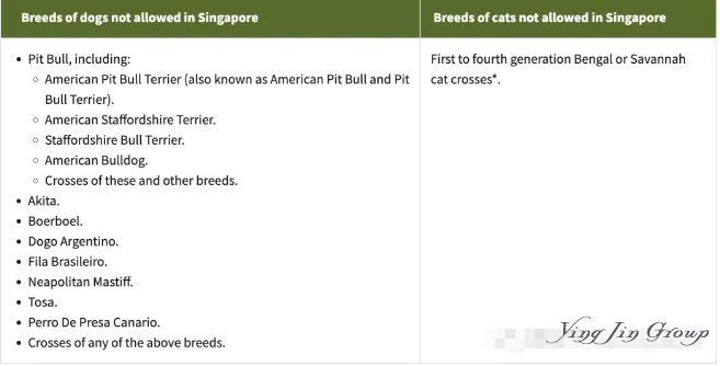 想把自家毛孩子(狗)带回新加坡，该怎么操作呀？