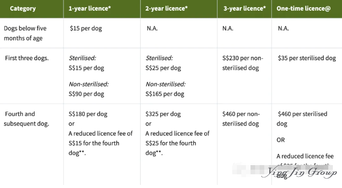 想把自家毛孩子(狗)带回新加坡，该怎么操作呀？