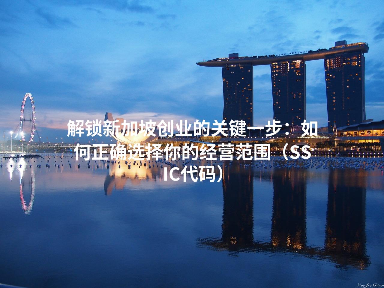 解锁新加坡创业的关键一步：如何正确选择你的经营范围（SSIC代码）