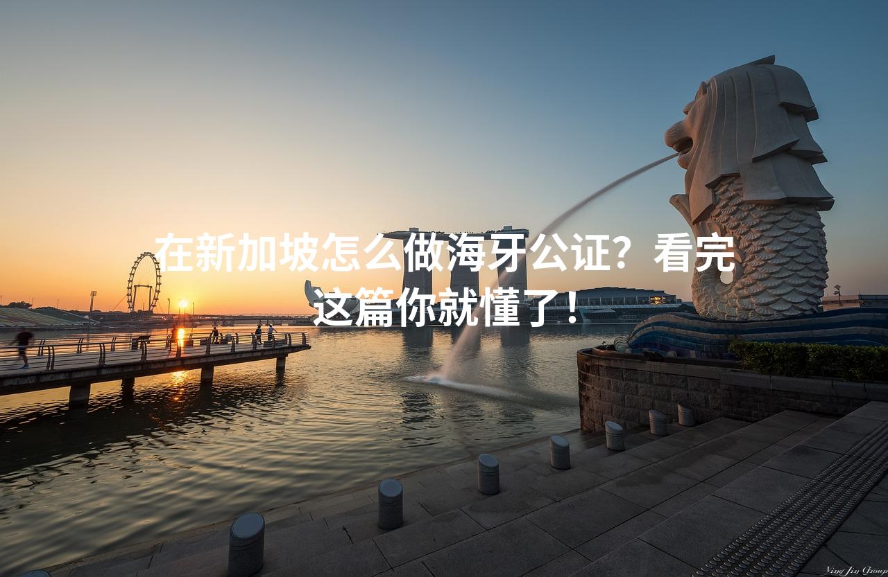 在新加坡怎么做海牙公证？看完这篇你就懂了！