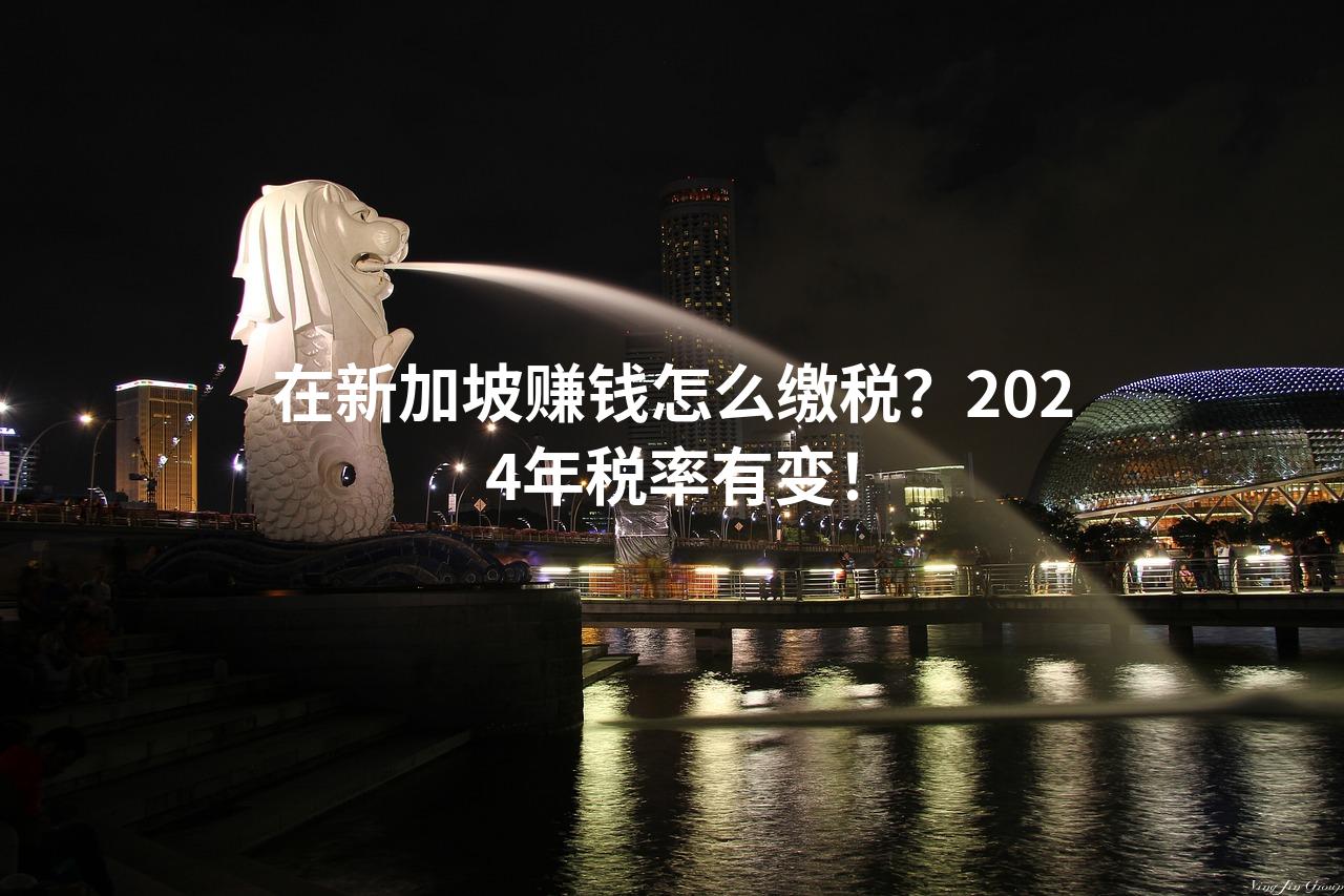 在新加坡赚钱怎么缴税？2024年税率有变！