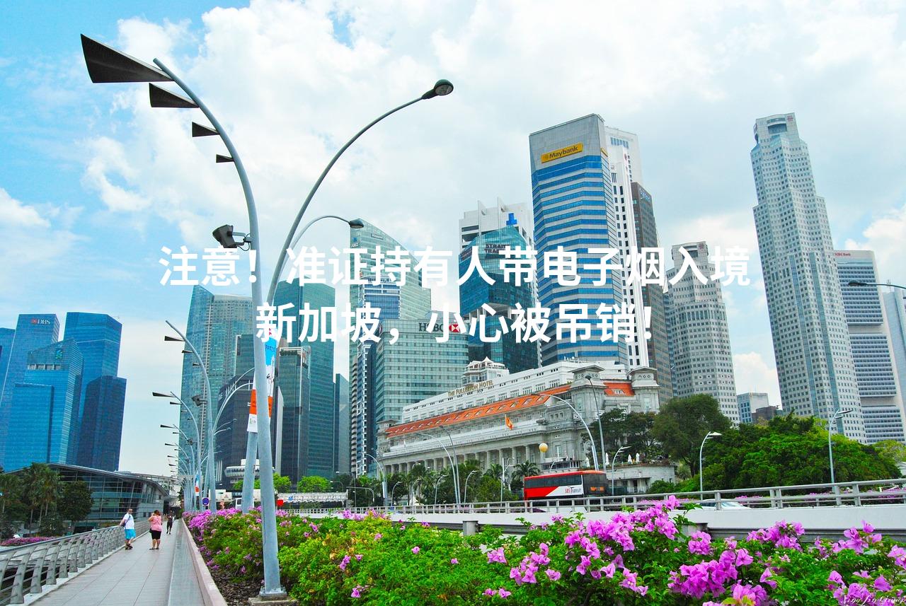 注意！准证持有人带电子烟入境新加坡，小心被吊销！