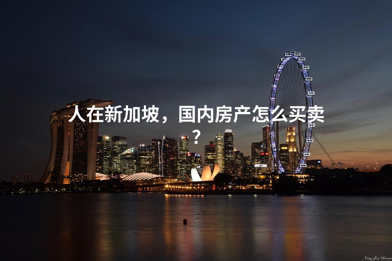 人在新加坡，国内房产怎么买卖？