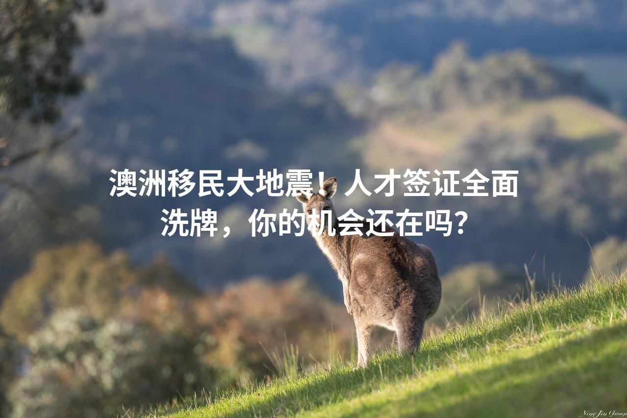 澳洲移民大地震！人才签证全面洗牌，你的机会还在吗？