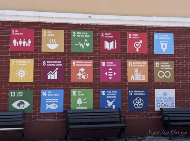 楹进专属访校日：探秘成都乐盟外籍人员子女学校的卓越教育