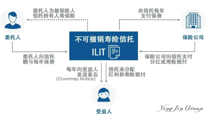 默多克的天价学费：一纸不可撤销信托，惊醒全球家办与高净值人群