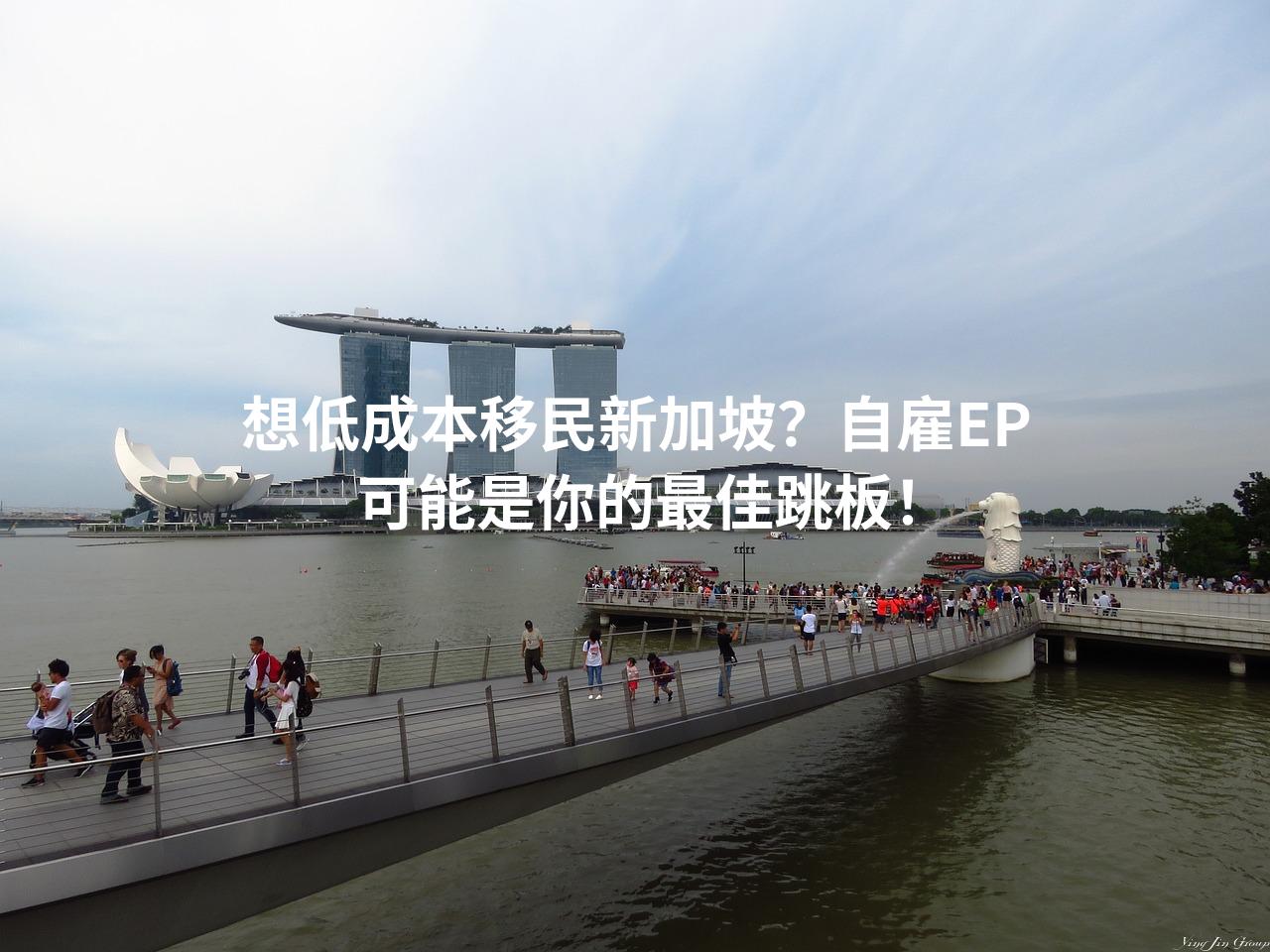 想低成本移民新加坡？自雇EP可能是你的最佳跳板！