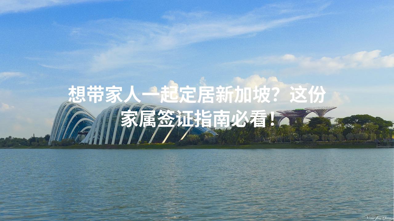 想带家人一起定居新加坡？这份家属签证指南必看！