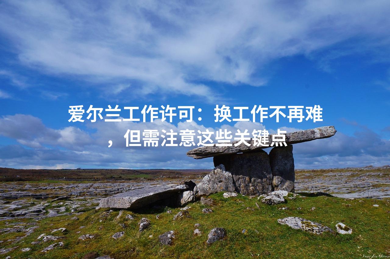 爱尔兰工作许可：换工作不再难，但需注意这些关键点