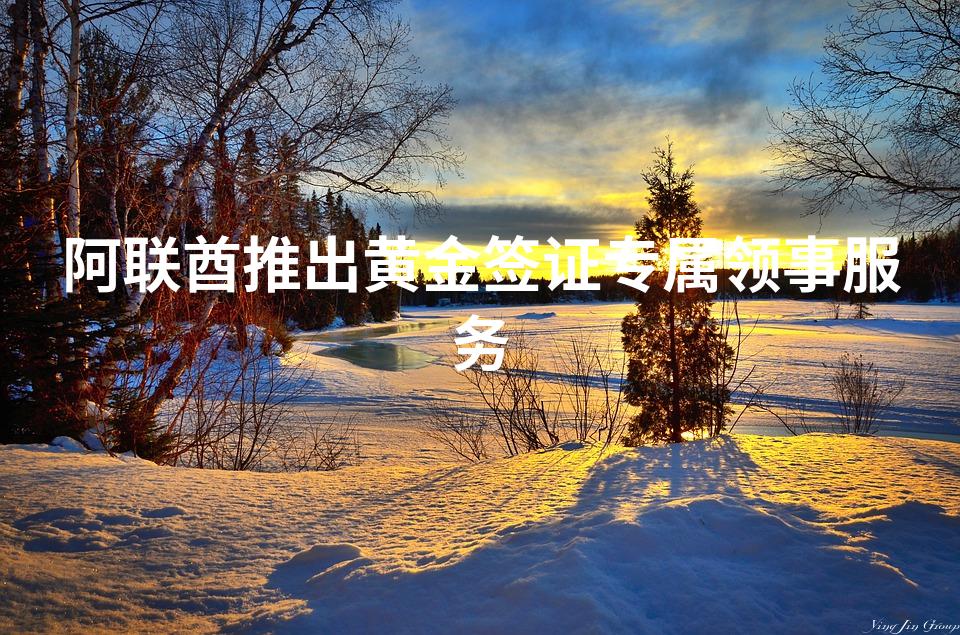 阿联酋推出黄金签证专属领事服务