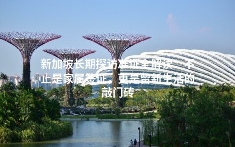 新加坡长期探访准证全解读：不止是家属签证，更是留新生活的敲门砖