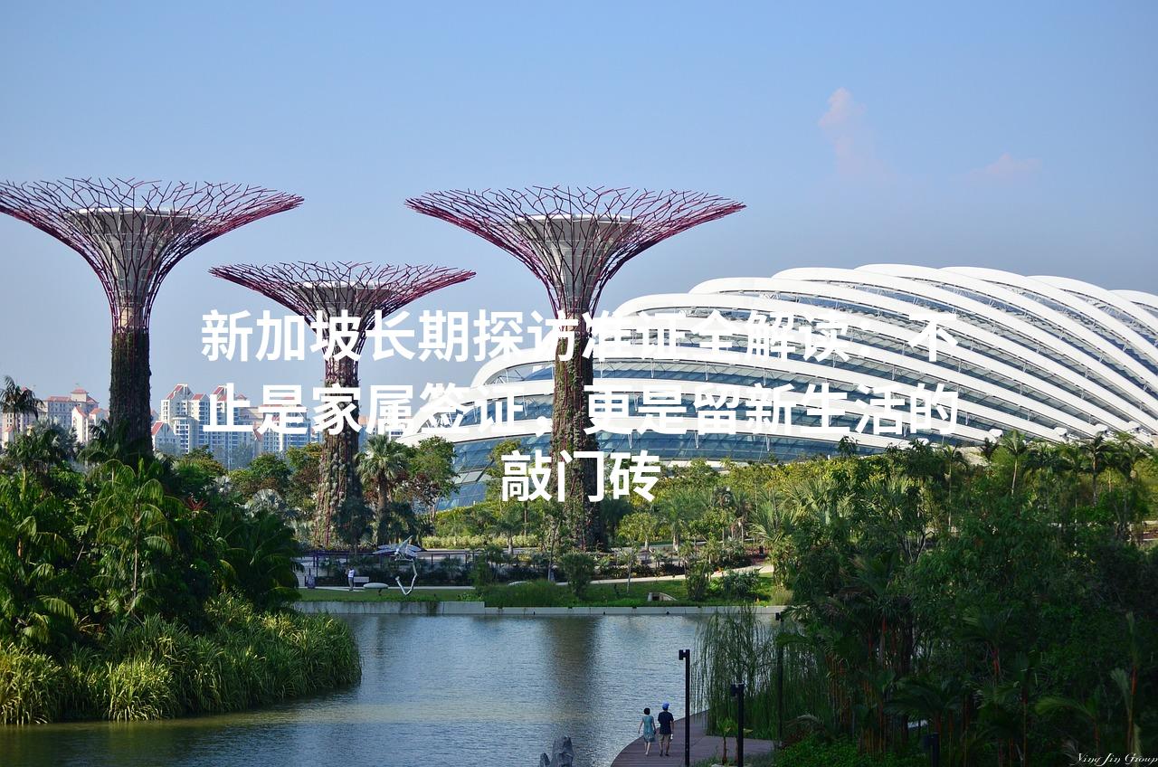 新加坡长期探访准证全解读：不止是家属签证，更是留新生活的敲门砖