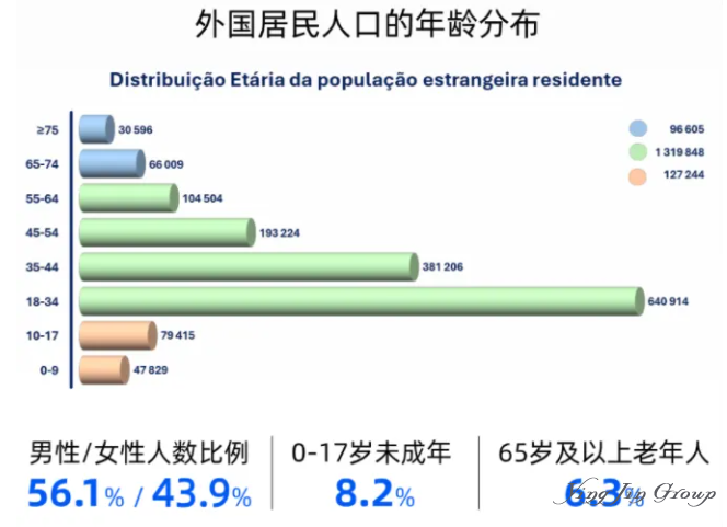 2025葡萄牙移民数据：中国人增长趋势及政策变化